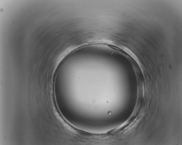 X0000064771005200602131312