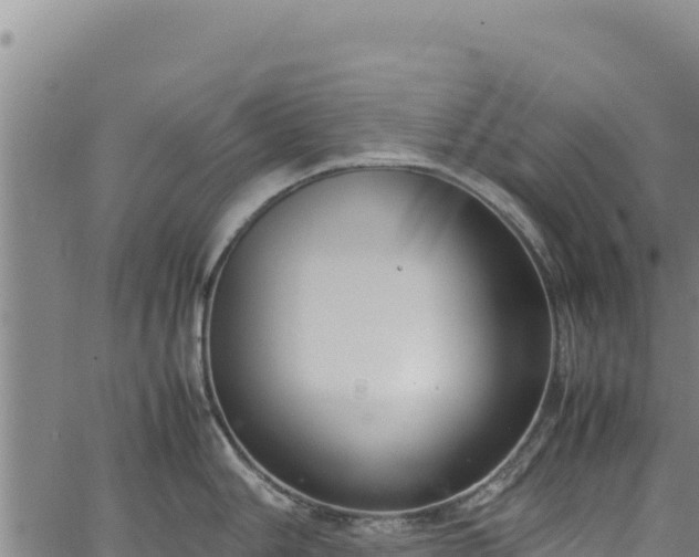 X0000064771006200602131312