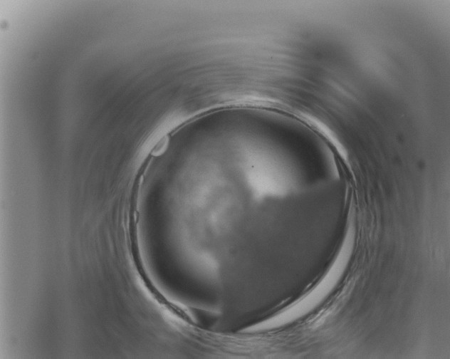 X0000064771007200602131312