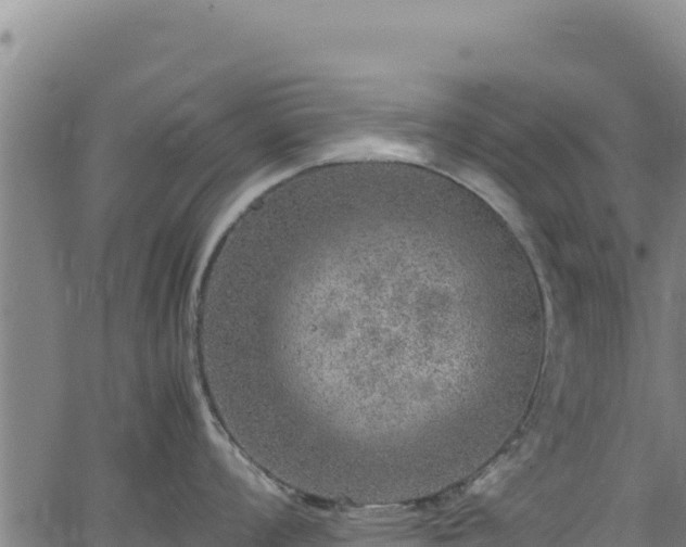 X0000064771008200602131312