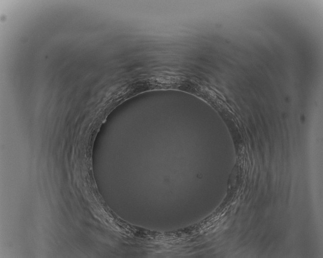 X0000064771009200602131311