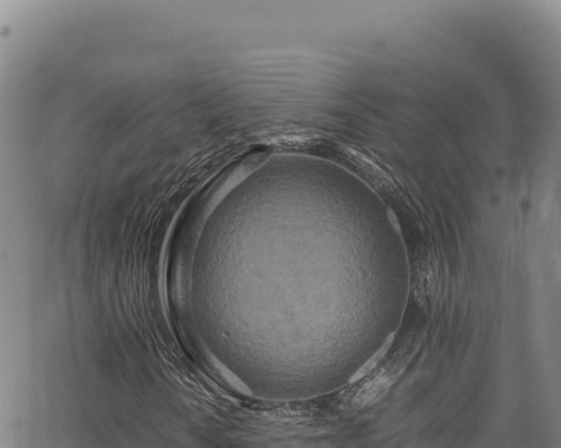 X0000064771010200602131311