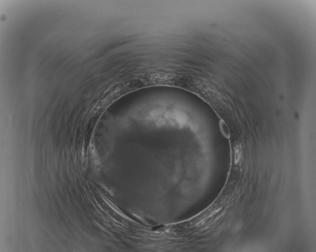 X0000064771011200602131311