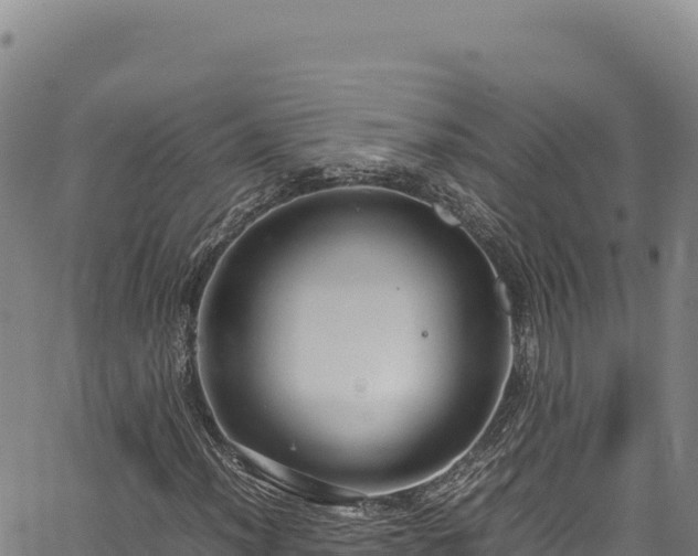 X0000064771012200602131311