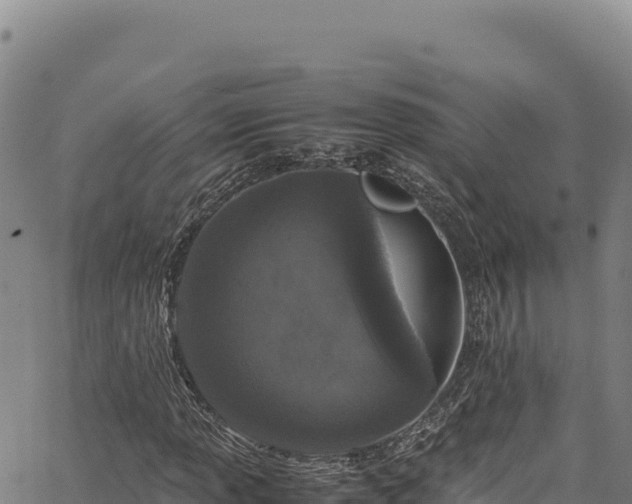 X0000064771013200602131311