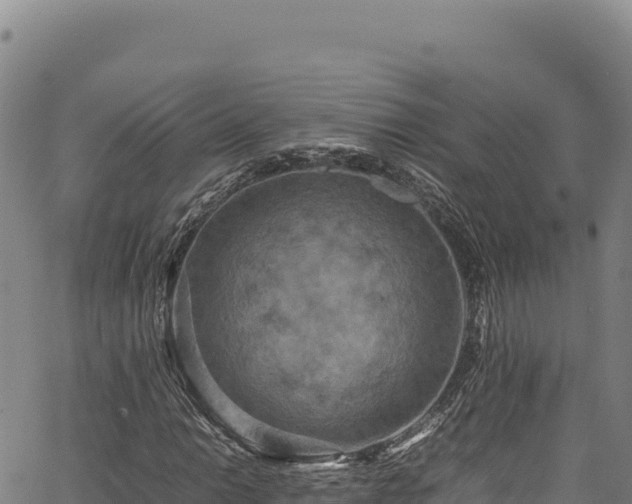 X0000064771014200602131311