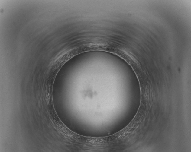 X0000064771015200602131311