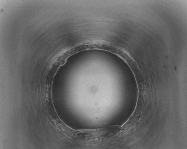 X0000064771016200602131311