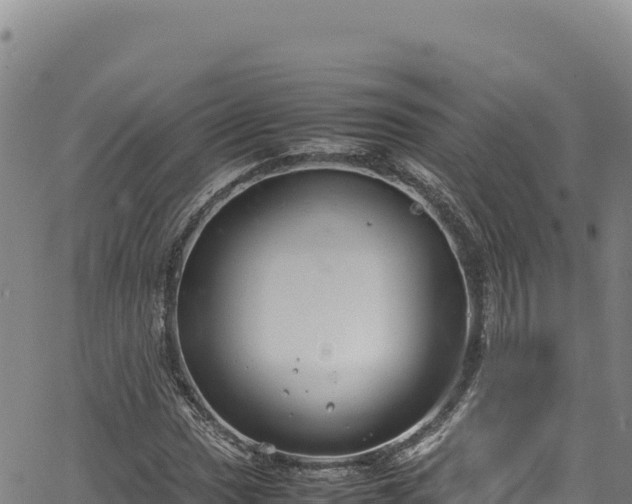 X0000064771017200602131311