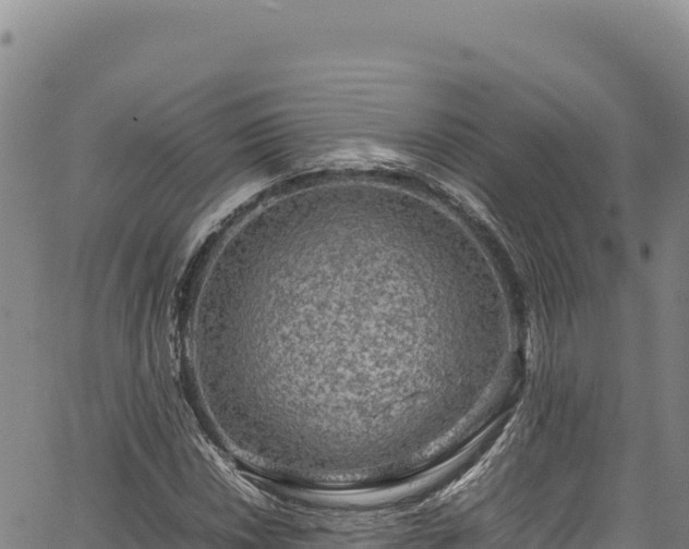 X0000064771018200602131311