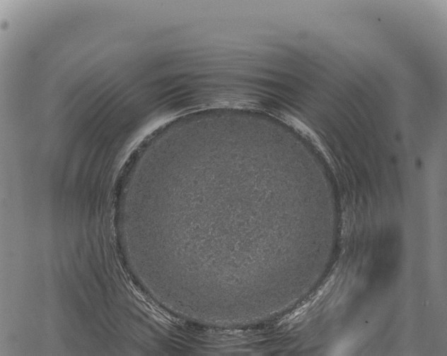 X0000064771019200602131311