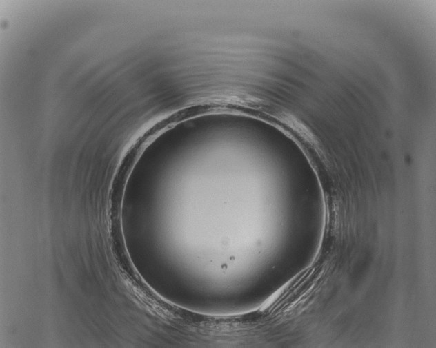 X0000064771020200602131311