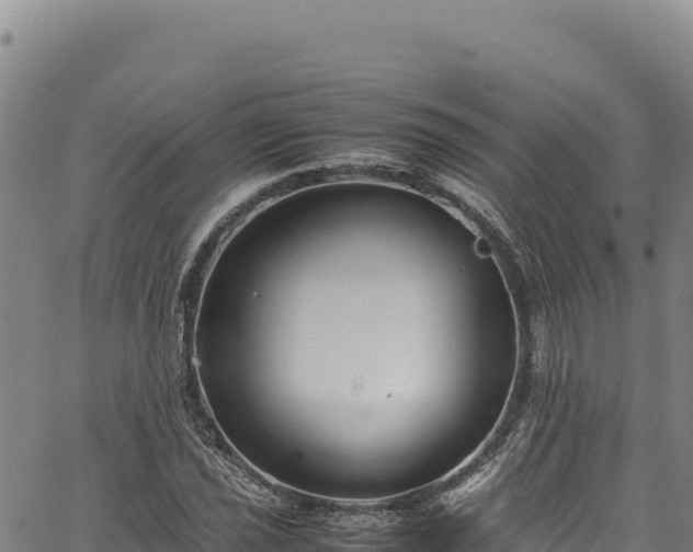 X0000064771021200602131311