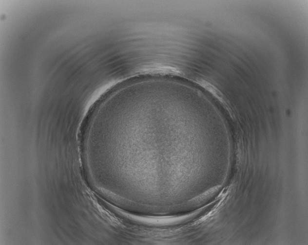 X0000064771022200602131311