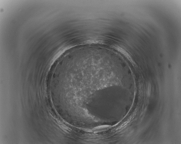 X0000064771023200602131311