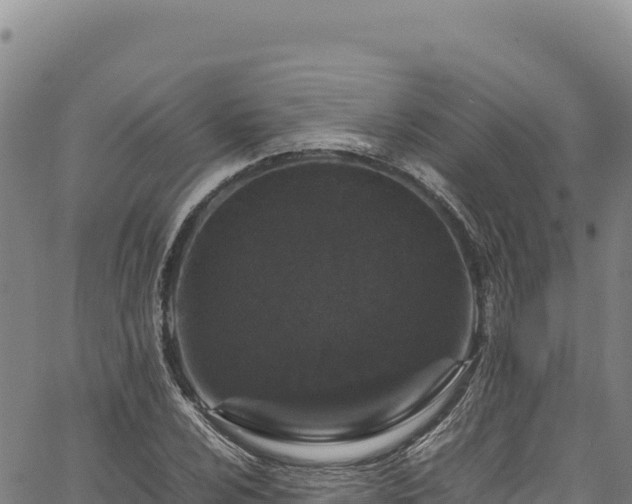 X0000064771024200602131311