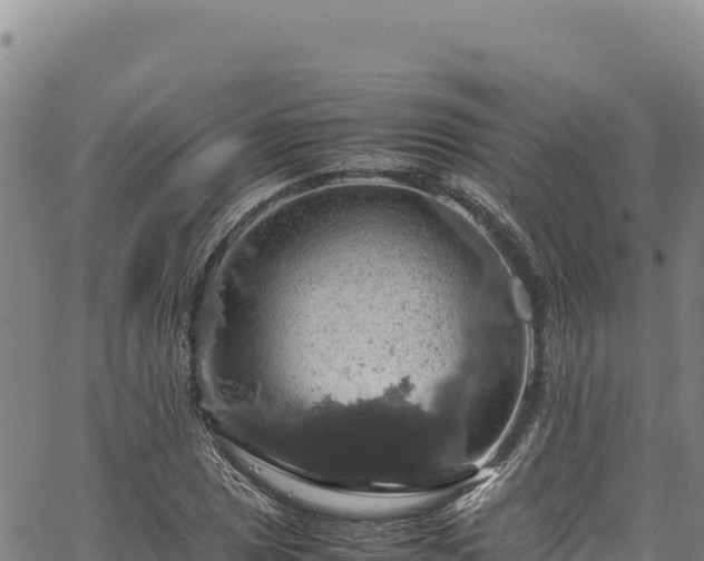 X0000064771025200602131311