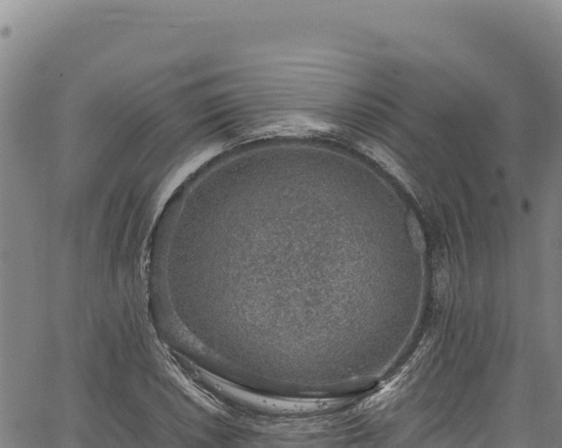 X0000064771026200602131311