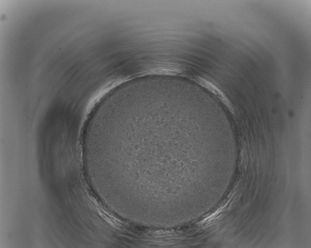 X0000064771027200602131311