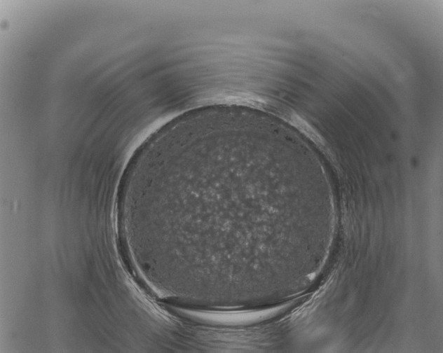 X0000064771028200602131311