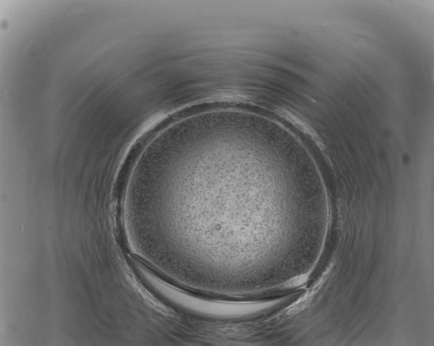 X0000064771029200602131311