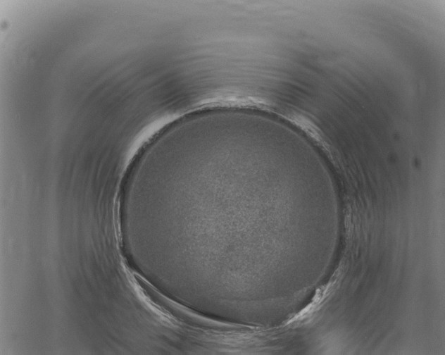 X0000064771030200602131311