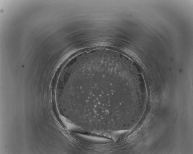 X0000064771031200602131311