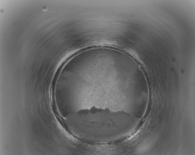 X0000064771032200602131311