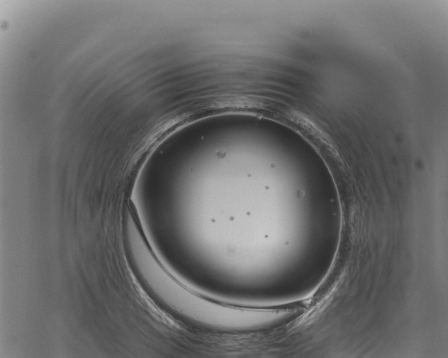 X0000064771033200602131311