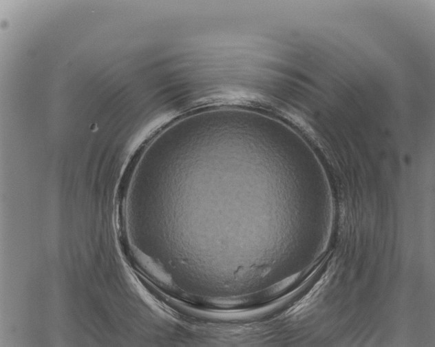 X0000064771034200602131311