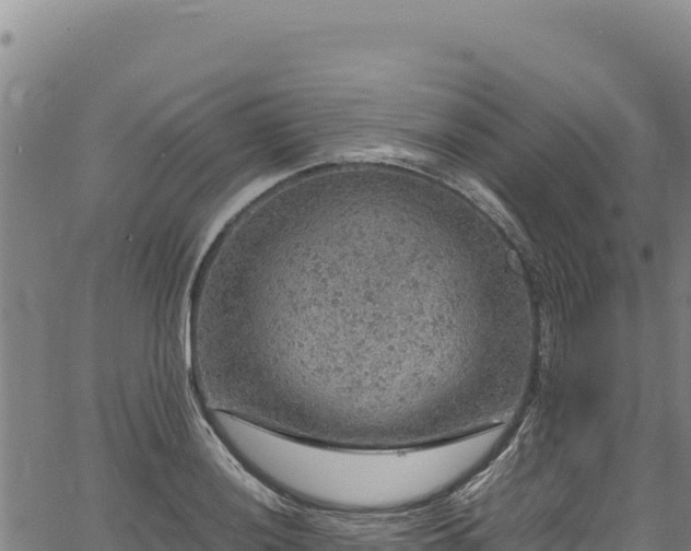 X0000064771036200602131311