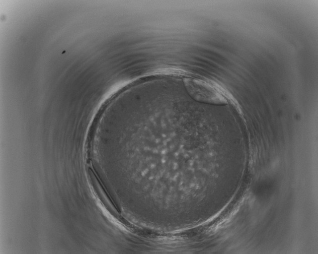 X0000064771037200602131311