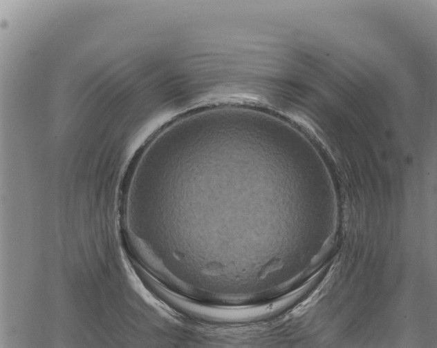 X0000064771038200602131311