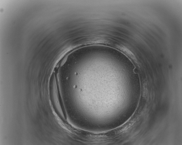 X0000064771039200602131311