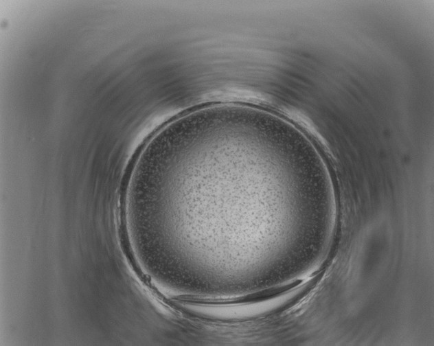 X0000064771040200602131311