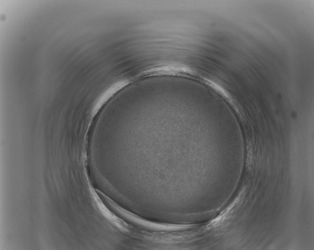 X0000064771042200602131311