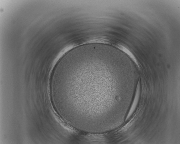 X0000064771043200602131311