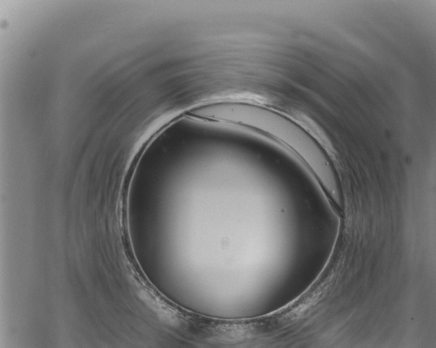 X0000064771044200602131311