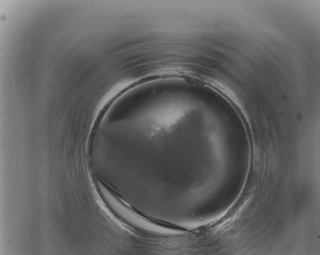 X0000064771045200602131311