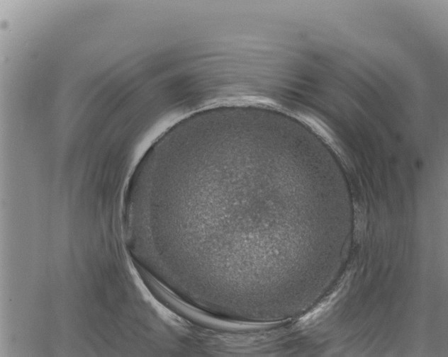 X0000064771046200602131311