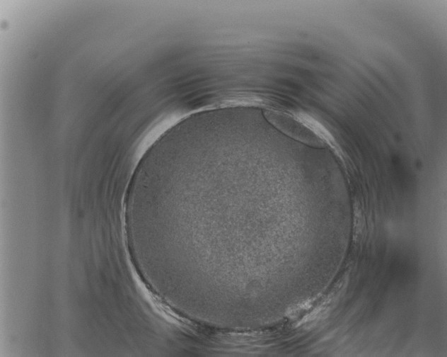 X0000064771047200602131311