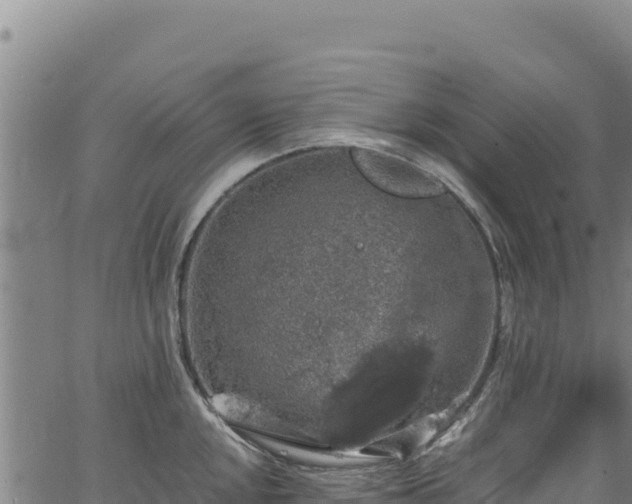 X0000064771048200602131311