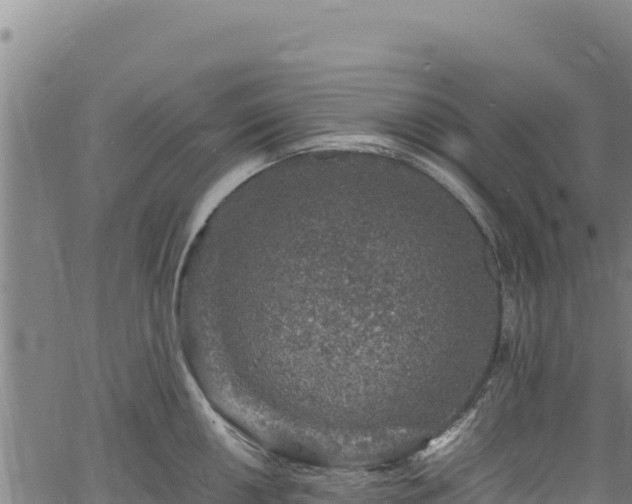 X0000064771050200602131312