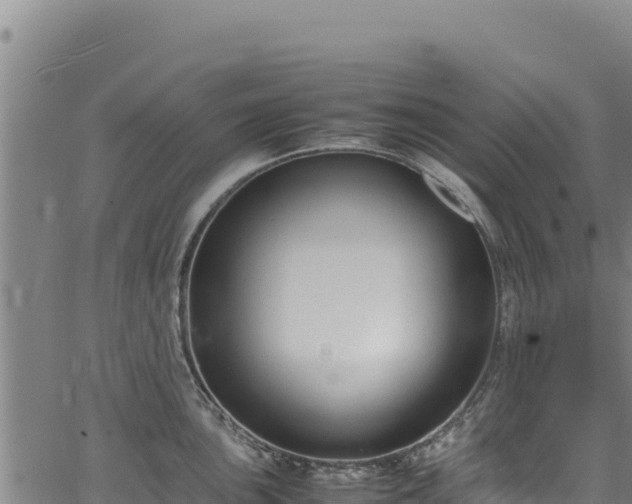 X0000064771051200602131312