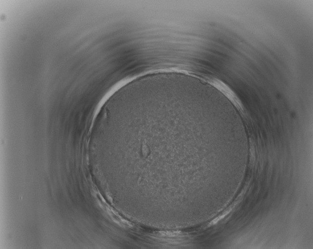 X0000064771052200602131312