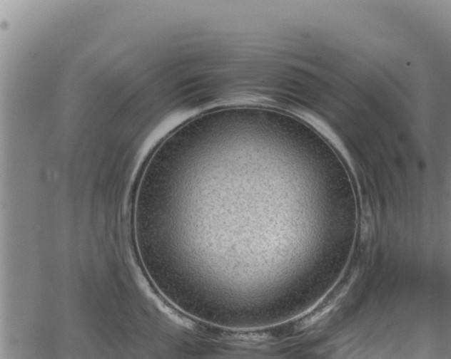 X0000064771053200602131312