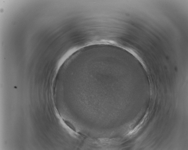 X0000064771054200602131312