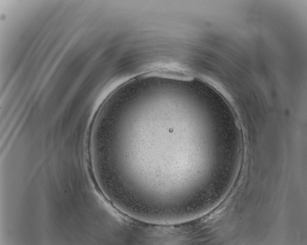 X0000064771056200602131312