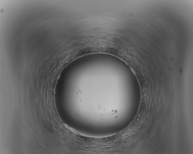 X0000064771057200602131311