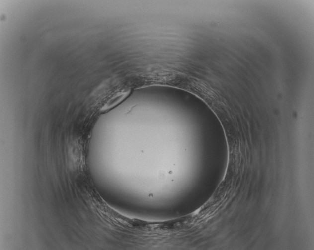 X0000064771058200602131311